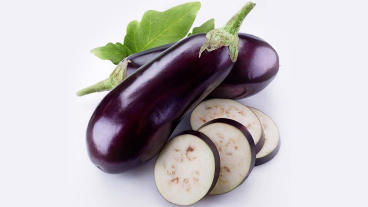 can dogs eat squash zucchini pumpkin eggplant