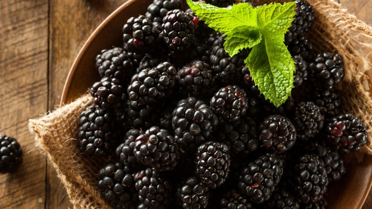 can dogs eat cranberries raspberries blueberries blackberries